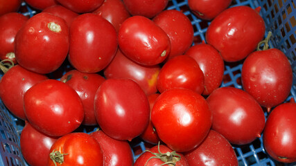 red tomatoes in the market