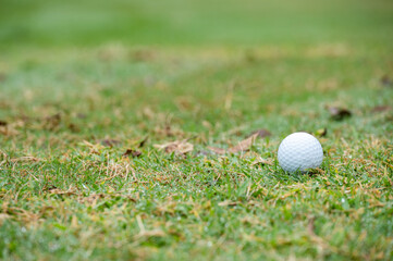 A golf ball on the green in golf course. The green is a special area of grass on the golf course that surrounds each hole.