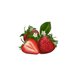 Ripe strawberries isolated on transparent background. PNG fruit illustration. Clip art of food and fruits