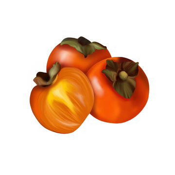 Persimmon isolated on transparent background. PNG fruit illustration. Clip art of food and fruits		