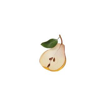 Pear isolated on transparent background. Fruit illustration PNG. Pictures of food and fruits