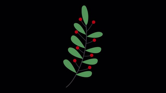 2D animated light green branch Leaf icons Christmas decoration branch leaf. Elements for your design, Seamless holly leaf with flowers, spruce branches, leaves and berries. animated decoration icons.