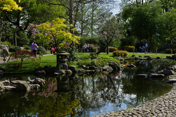 London - 04 11 2022: Glimpse of a corner of the lake in Kyoto garden in Holland park
