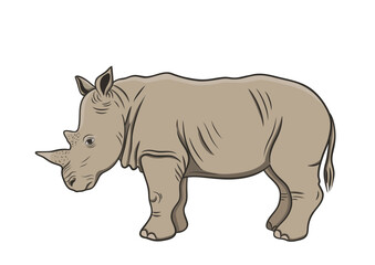 graphic vector outline illustration with african rhinoceros