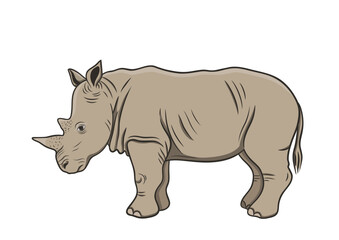 Fototapeta premium graphic vector outline illustration with african rhinoceros