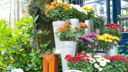 various colorful flowers still attached to their branch and leaves among them with each was placed on the vase