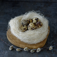 Natural quail eggs in nest and pussy willow branches on dark textured surface. Happy Easter