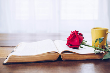 close up of the red rose on open old bible with yellow coffe cup on wooden table with window light, white curtain background copy sapce for text, Christian devotion bible study concept