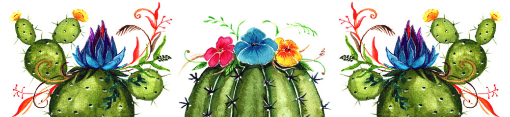 Watercolor blossoming line of cacti with a crown of flowers, isolated decorative element 