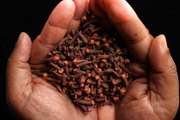 Asian dark skin top view two hand palm finger holding clove spice on black background