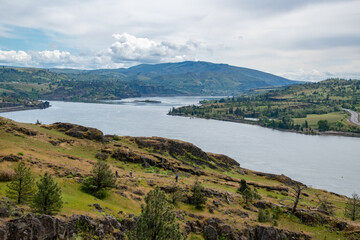 Grassy Hillside Springtime Flower Bloom at Coyote Wall Overlooking the Columbia River Gorge in Oregon & Washington