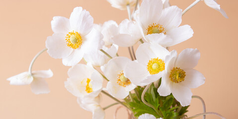 Close up white anemones flowers on beige background