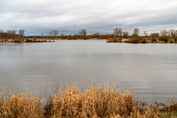 Ufer der Elbe in winterlicher Abendstimmung bei Hitzacker
