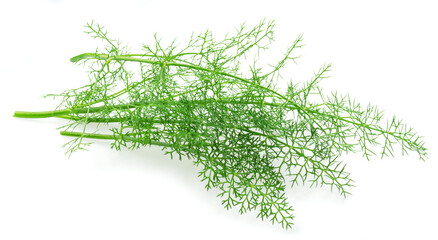 Green dill leaves isolated on white background.