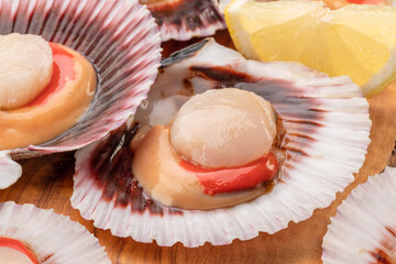 Group of fresh opened scallop with lemon slice close up.