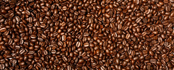 Coffee beans placed on wood with copy space on Top view background, 
An empty coffee cup, and a glassมwarm, light atmosphere morning day,
 one cup of coffee and coffee beans