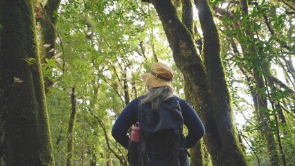 Back view of woman carrying a backpack Hike and travel alone in the forest. Saving environment, green movement, environment conscious