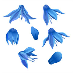 Set of blue spring vector squill flowers, a symbol of spring and spring holidays