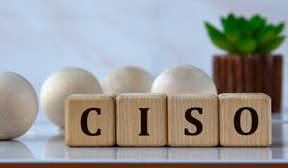 CISO - acronym on wooden cubes against the background of light balls and cactus