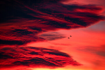 sunset in the sky