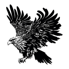 Flying eagle illustration isolated on white background. Previous illustration.