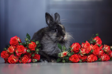 decorative gray rabbit with flowers tea roses. congratulations on the holiday. Mother's day. March 8. Valentine's Day. animal with flowers