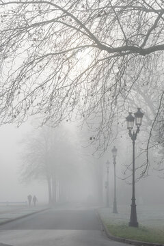 Un parc avec des arbres et des réverbères dans le brouillard en hiver