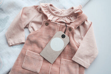 Cute baby pink dress with craft tag, space for your logo