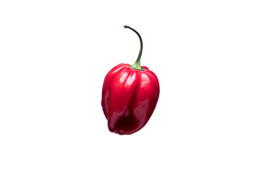 Piment antillais flottant sur fond blanc sans ombre