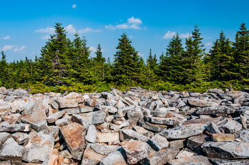 Natures Boulder Field, Spruce Knob Mountain, West Virginia USA, West Virginia