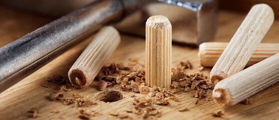 Two wooden dowel for fastening oak plank. Timber industry.