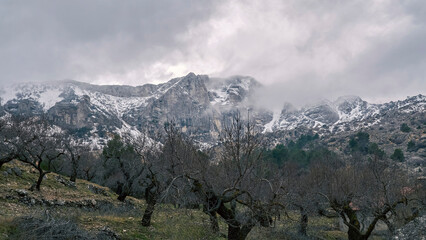 Obraz premium Sierra de Aitana with snow. The Sierra de Aitana is the highest point in the Province of Alicante with 1,557 meters of altitude. Located in Benifato, In Benifato , Alicante, Spain.