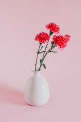 Beautiful pink Carnation flowers in a vase on a pink pastel background.