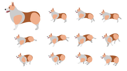 Cartoon Color Dog Welsh Corgi Pembroke Animal Animation Effect Set Concept Flat Design Style. Vector illustration