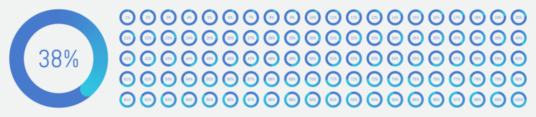 Percentage diagram icons. Pie chart. Progression from 1 to 100.