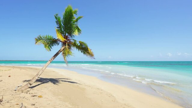 Coconut palms on a sunny sandy beach and turquoise ocean. Amazing summer nature landscape. Stunning sunny beach scenery, relaxing peaceful and inspiring beach holiday template. Tropical paradise.