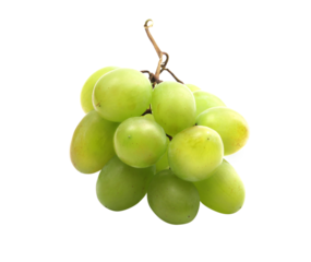 Small bunch of green grapes isolated on transparent background. 
