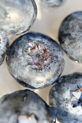 Fresh blueberry background. Texture blueberry berries close up. Blueberries in the form of a full-screen texture.