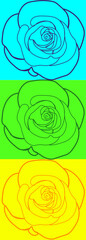 Colorful Set of Roses Design