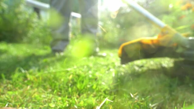 a man mows the grass with a grass trimmer