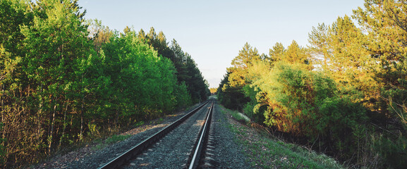 Scenery with railway in perspective across forest. Journey on rail track. Sleepers and rails. Vanishing perspective. Receding lines. Landscape with railroad along trees. Background with copy space.