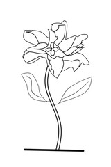 The line forms a lily on a white background element. Vector Illustration