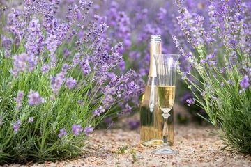 Gardinen Glass of champagne in a lavender field. Violet flowers on the background. © Kotkoa