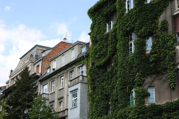 Historical building covered in beautiful plants.