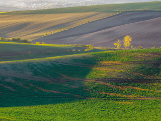 Spring farmland in the hills of Morvia in Czech Republic..