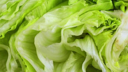 Fresh green iceberg lettuce salad leaves circle rotation close up