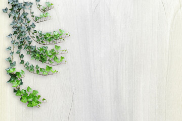 木目背景とグリーン