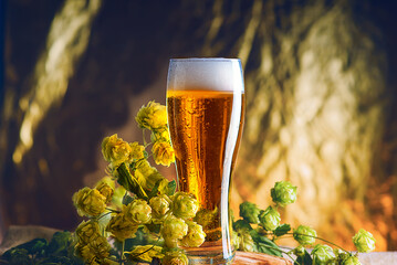Amber beer with a sprig of hops on a wooden Board. Foam hop drink. 