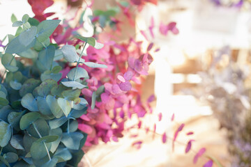 Eucalyptus branches on sale at flower shop. Floral background and texture.