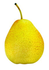 Ripe pear with stem